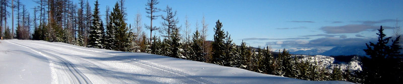 blacktail trail winter